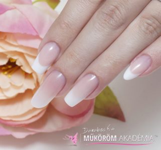 Technikai alapok online Step by Step videó- widget